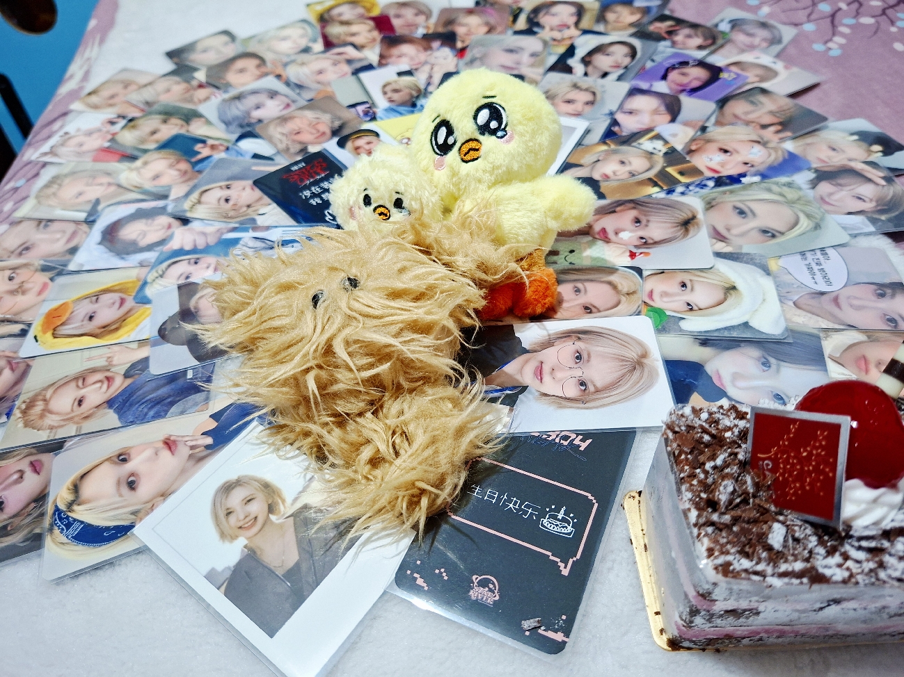 鴿_裴真率全肯定