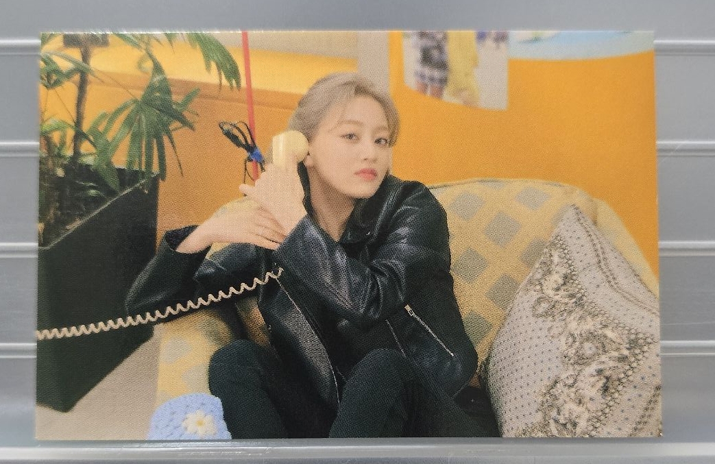 大學系列隨機卡 志效 JIHYO 14