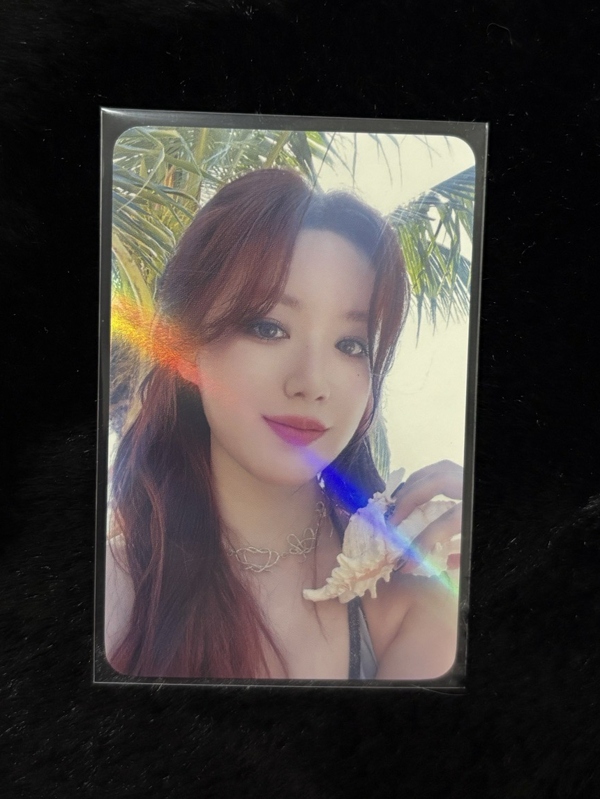 ⭕️Shuhua I Sway 6.0 海螺🐚