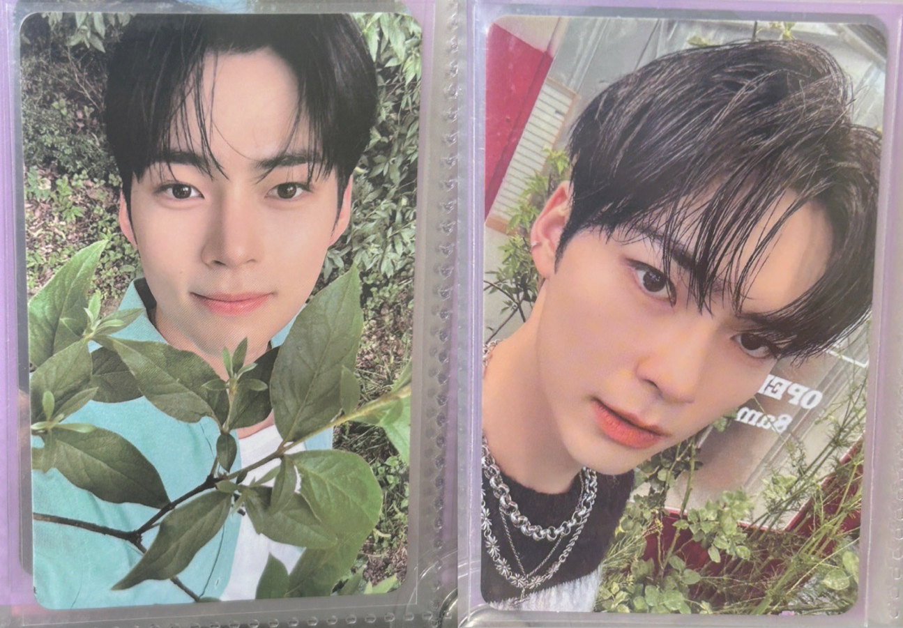 zb1 彬 兩張不拆 迷一楠藝+芭蘭歌林1.0