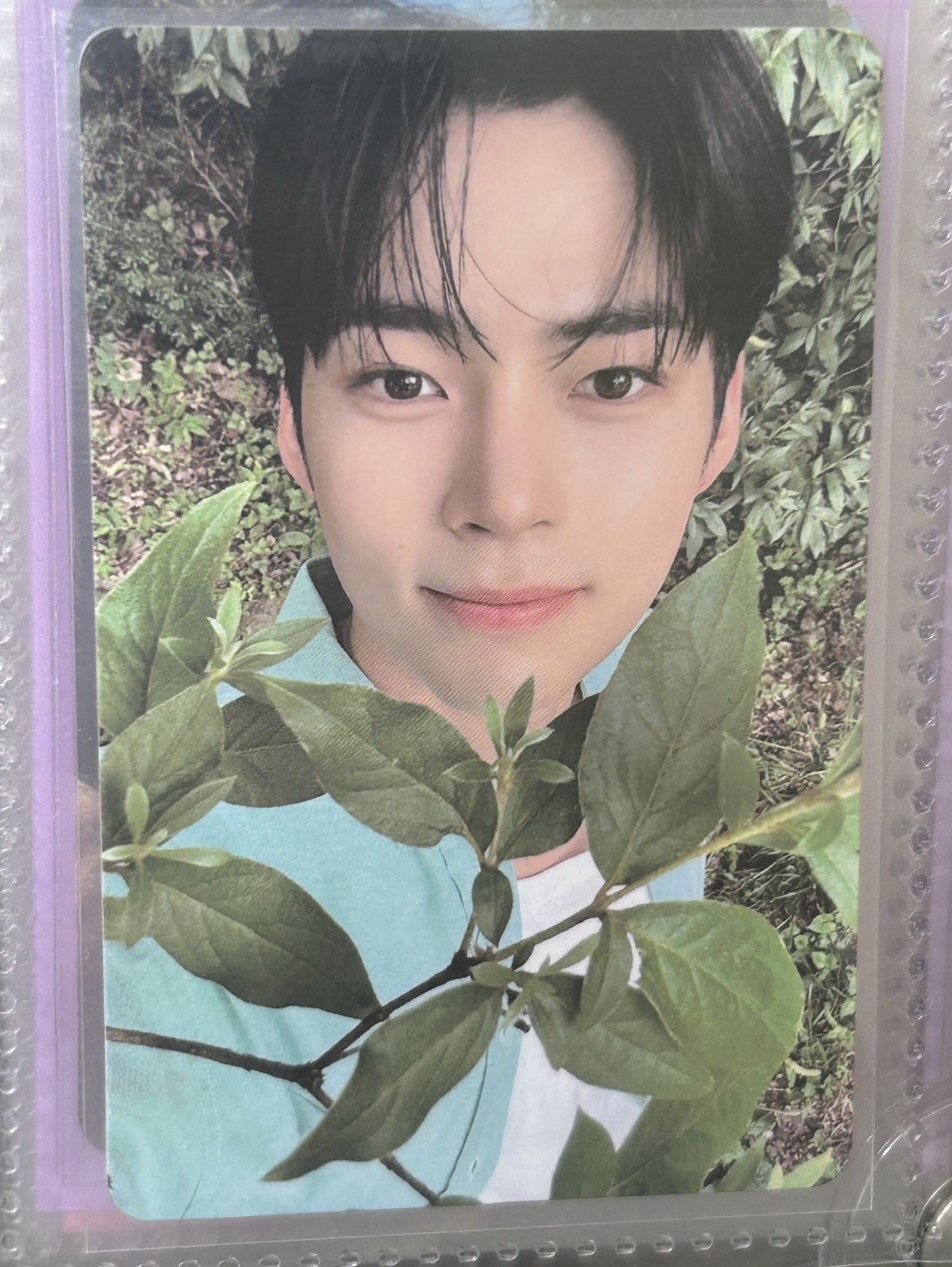 zb1 彬 兩張不拆