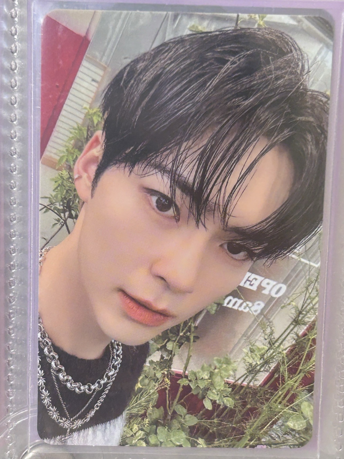 zb1 彬 兩張不拆