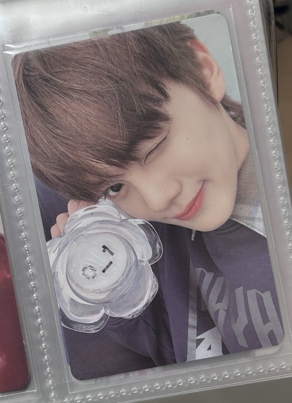 zb1 奎彬 兩張不拆