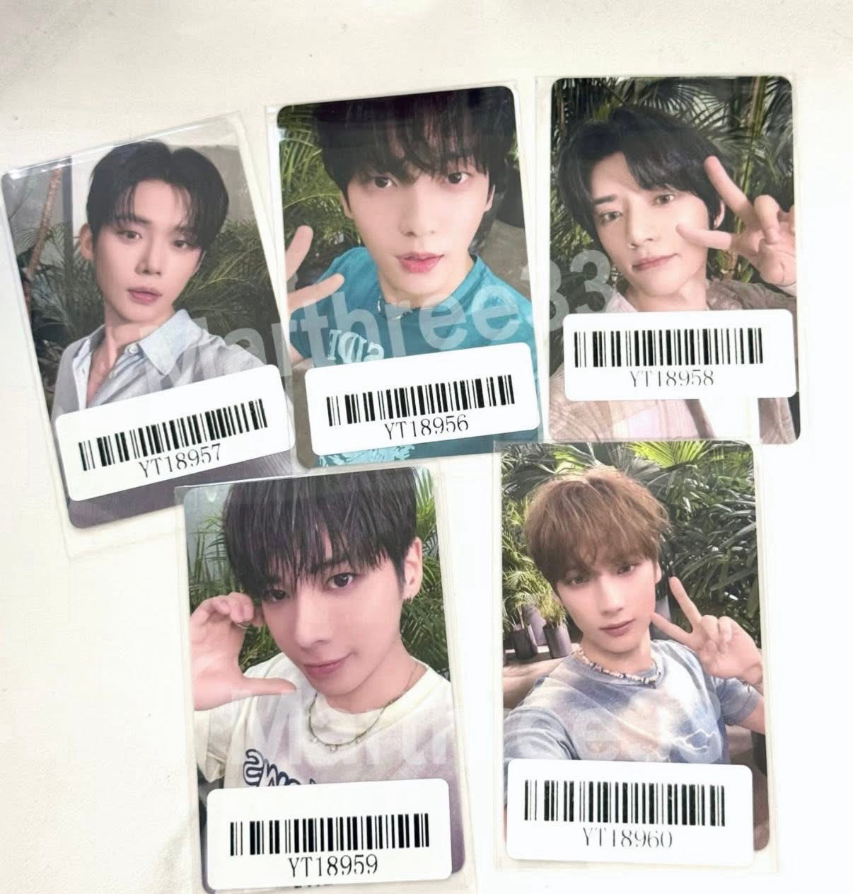 正規四kms線上簽售2.0特典一套