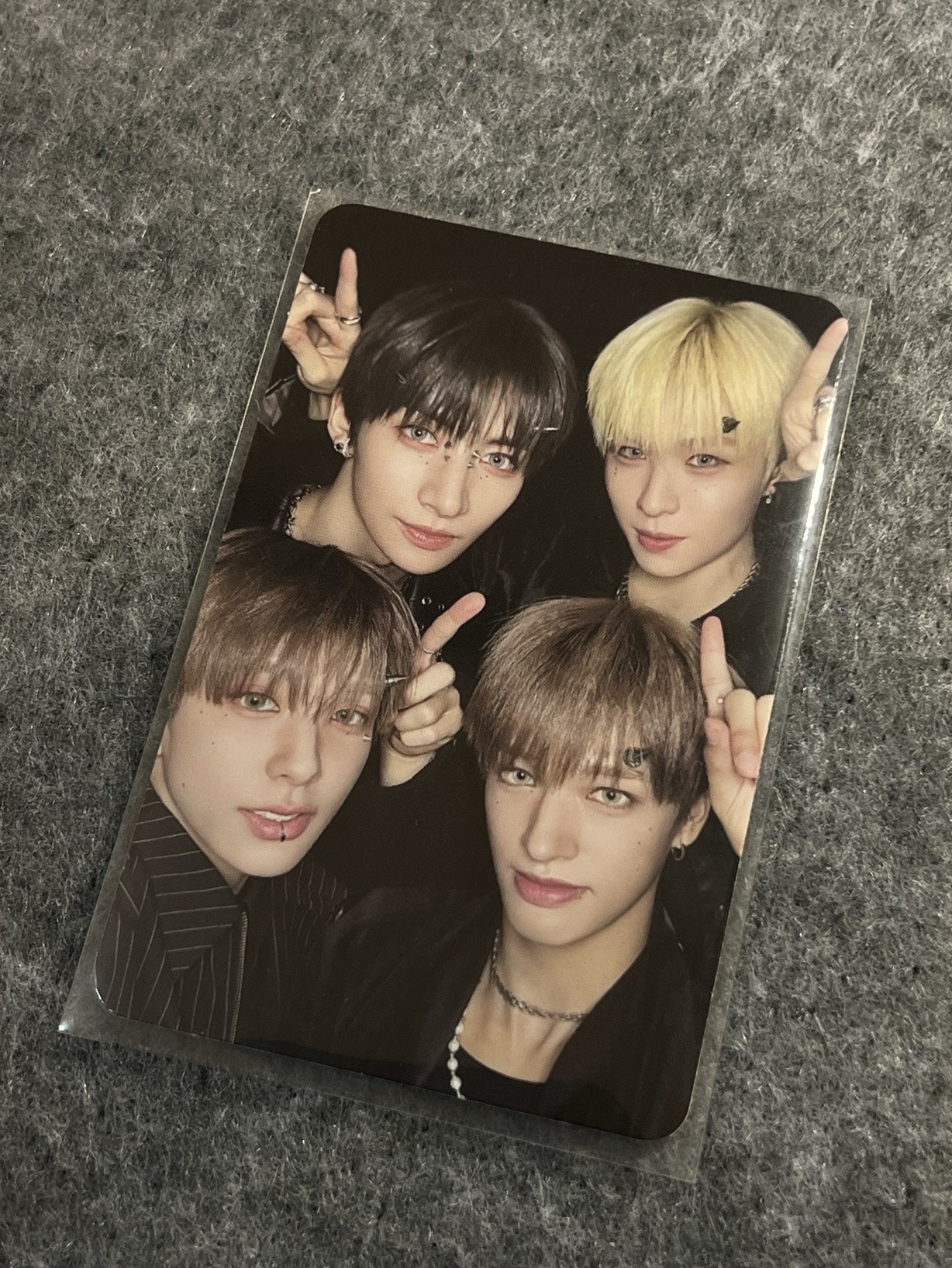 🐈‍⬛🦌🐿️🦦