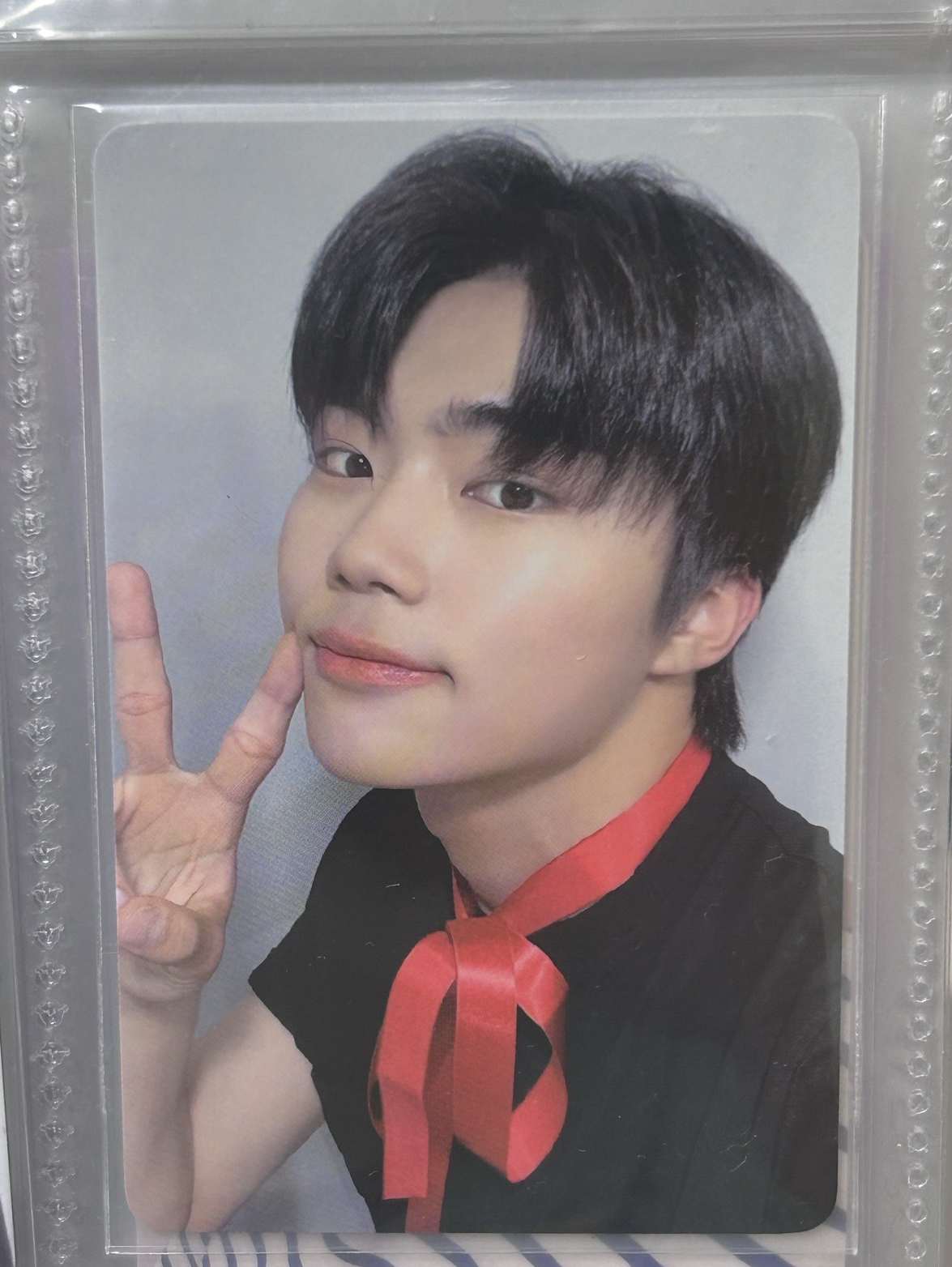 zb1 乾旭 絲帶卡 🎀