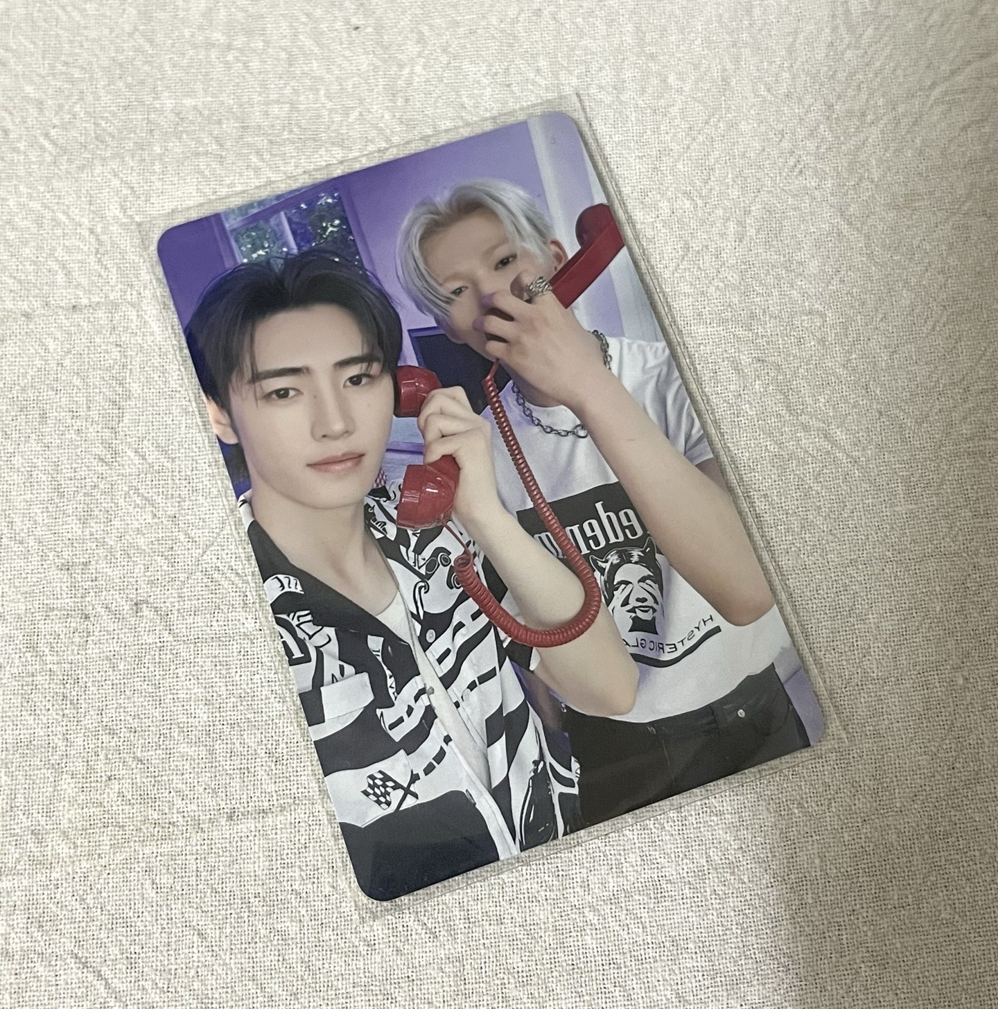 25年D社 wvs特典卡