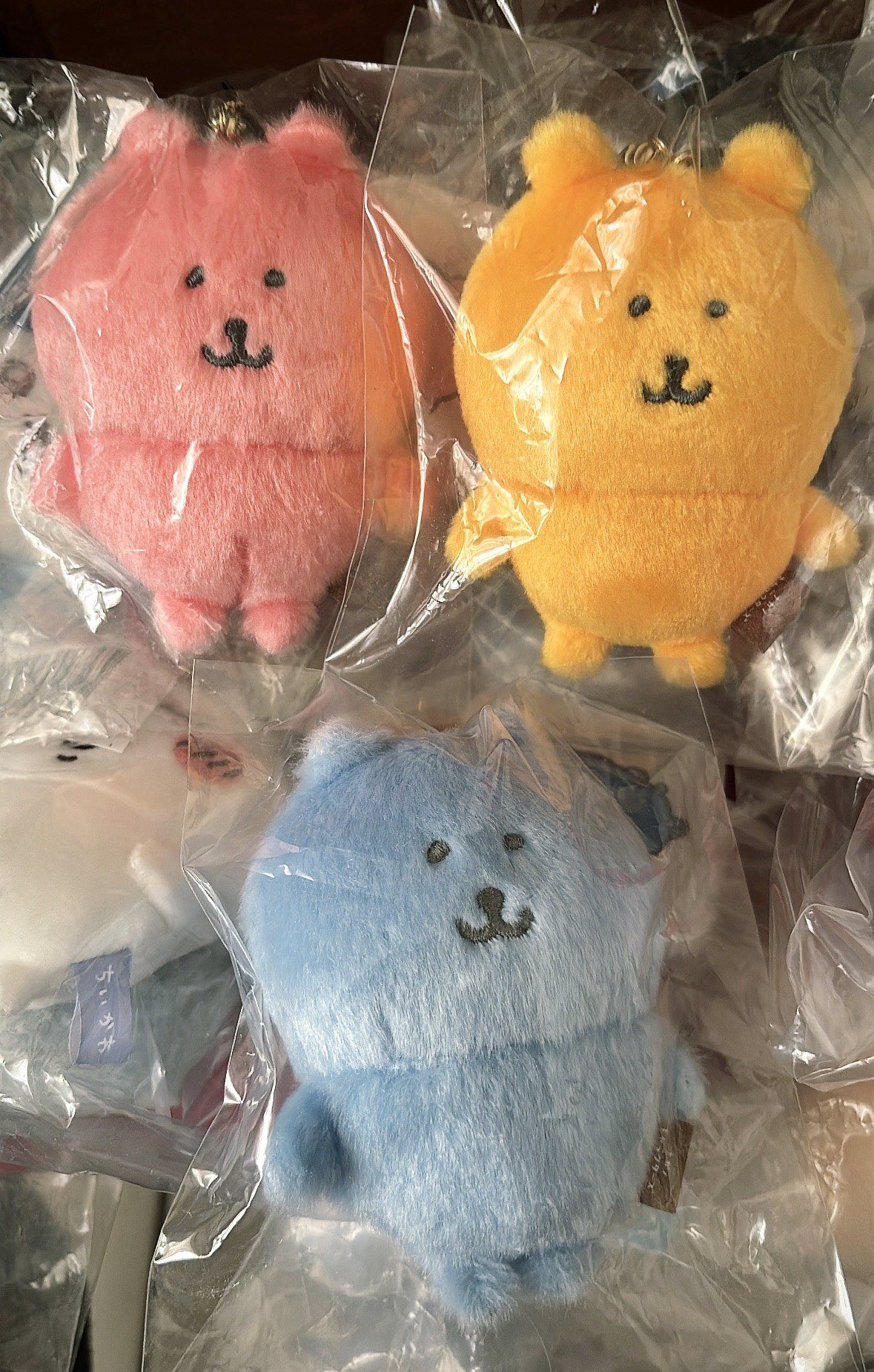 自嘲熊 Nagano 白熊 彩色熊 粉 黃 水藍