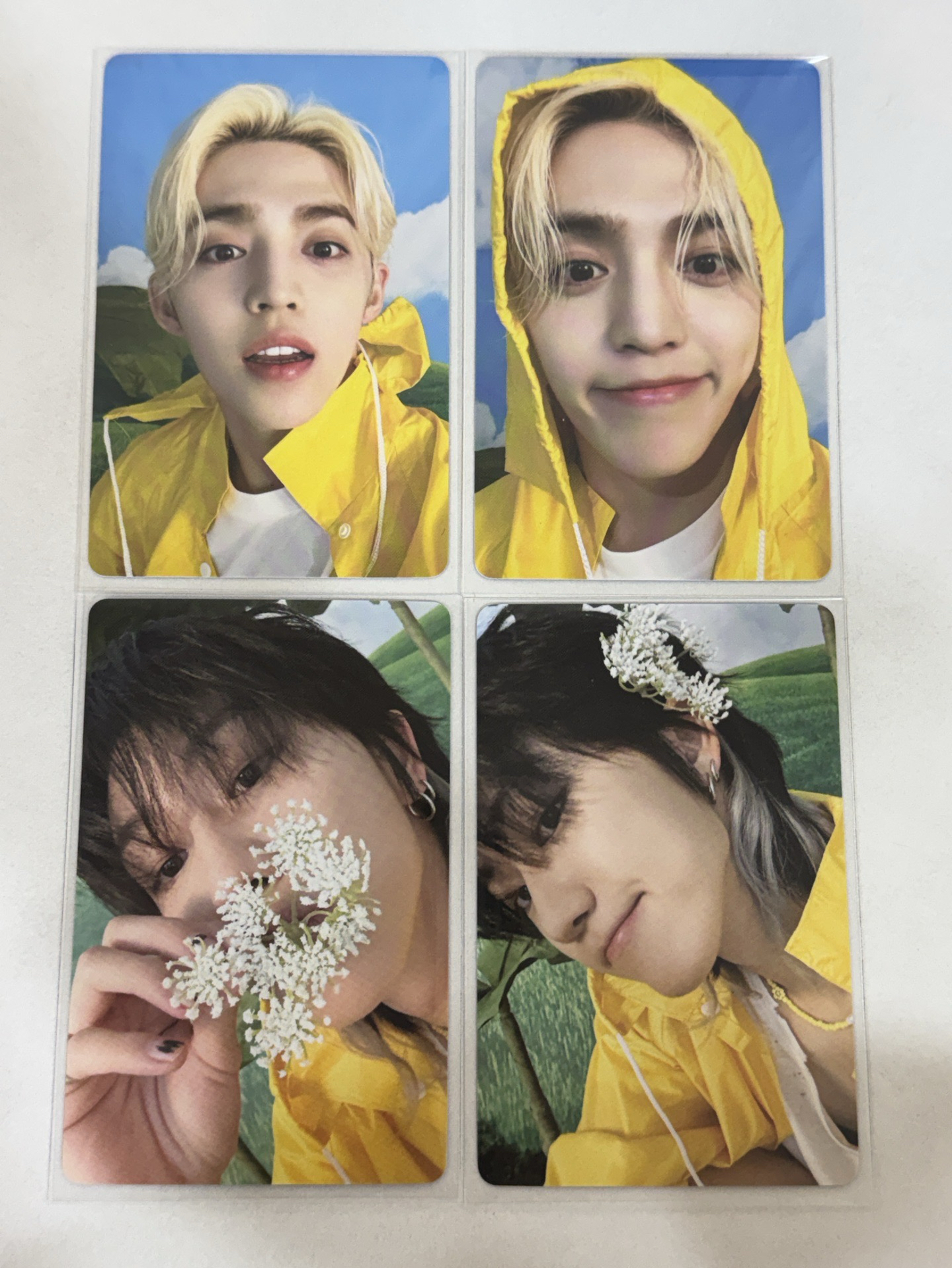 SEVENTEEN minill 克拉盤 隨機小卡