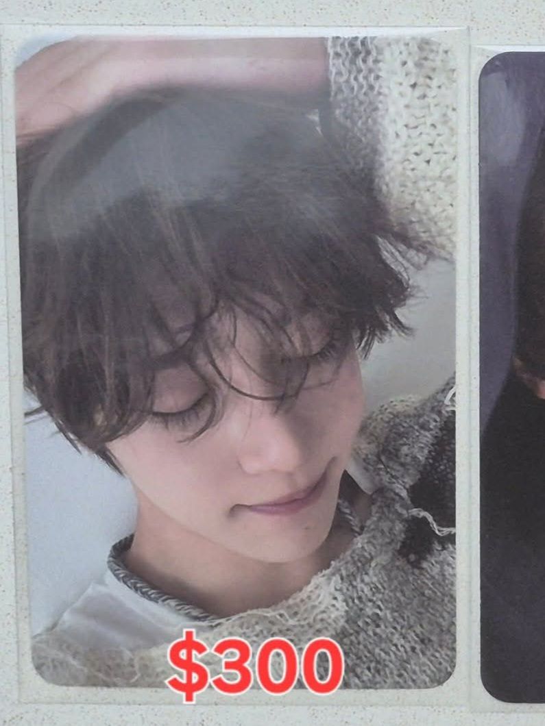 steady白版專卡sion