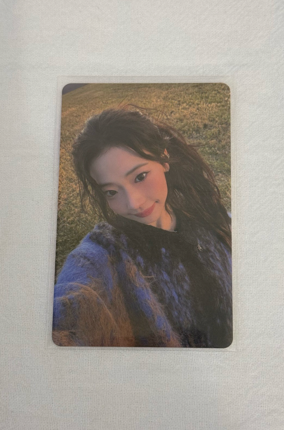 一週年 wvs線上滿額 露