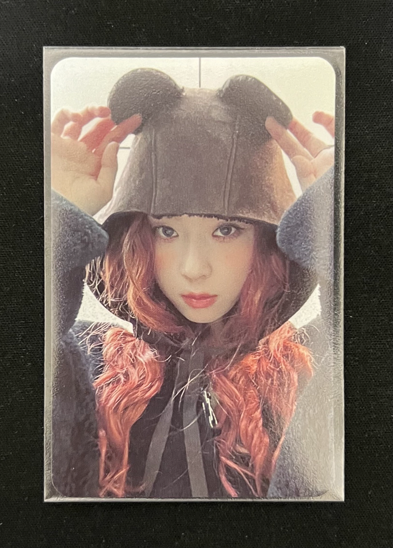 Drama sr 特典卡 星河預售E冬 小熊冬