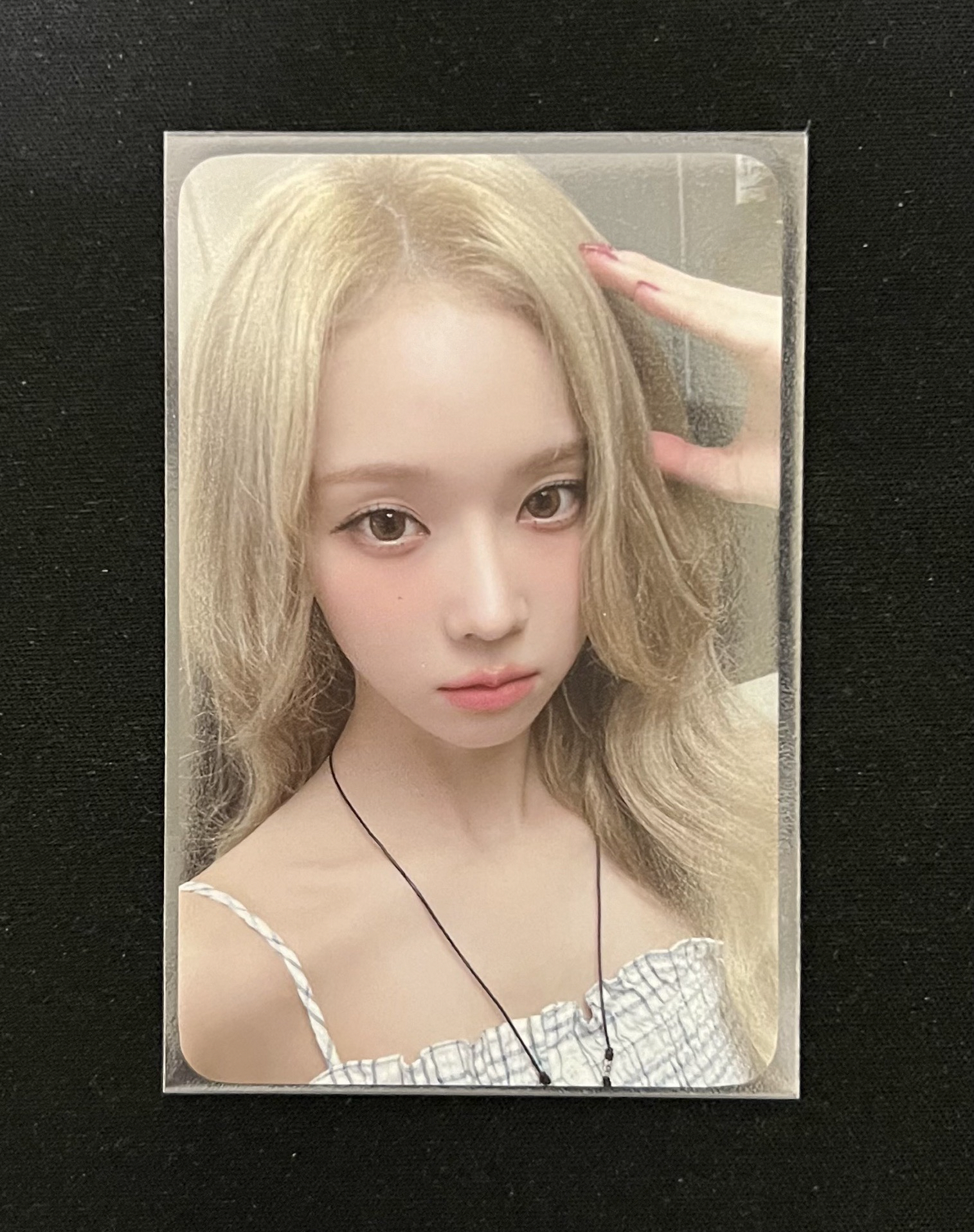 Whiplash el 幸運卡 冬 狗耳冬