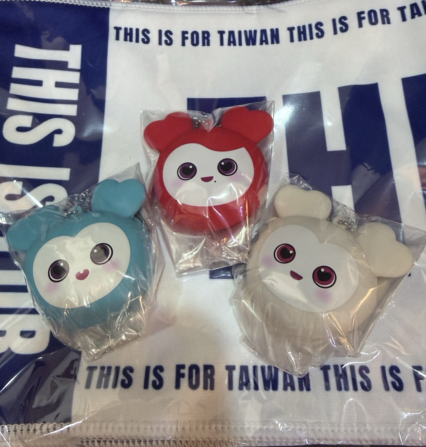 GIGO 矽膠零錢包 娜璉 彩瑛 多賢