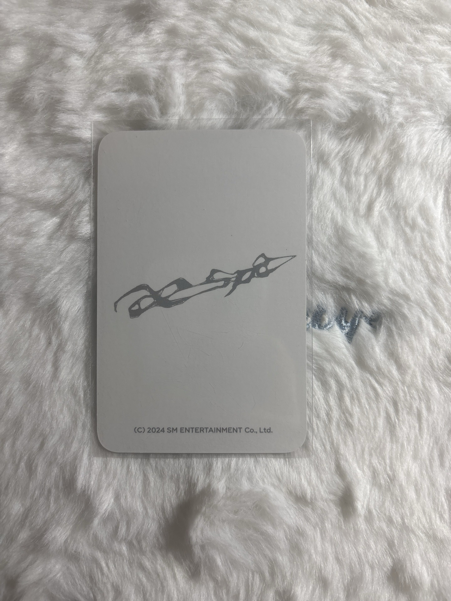 正規一 周邊卡 快閃鯊魚夾柚