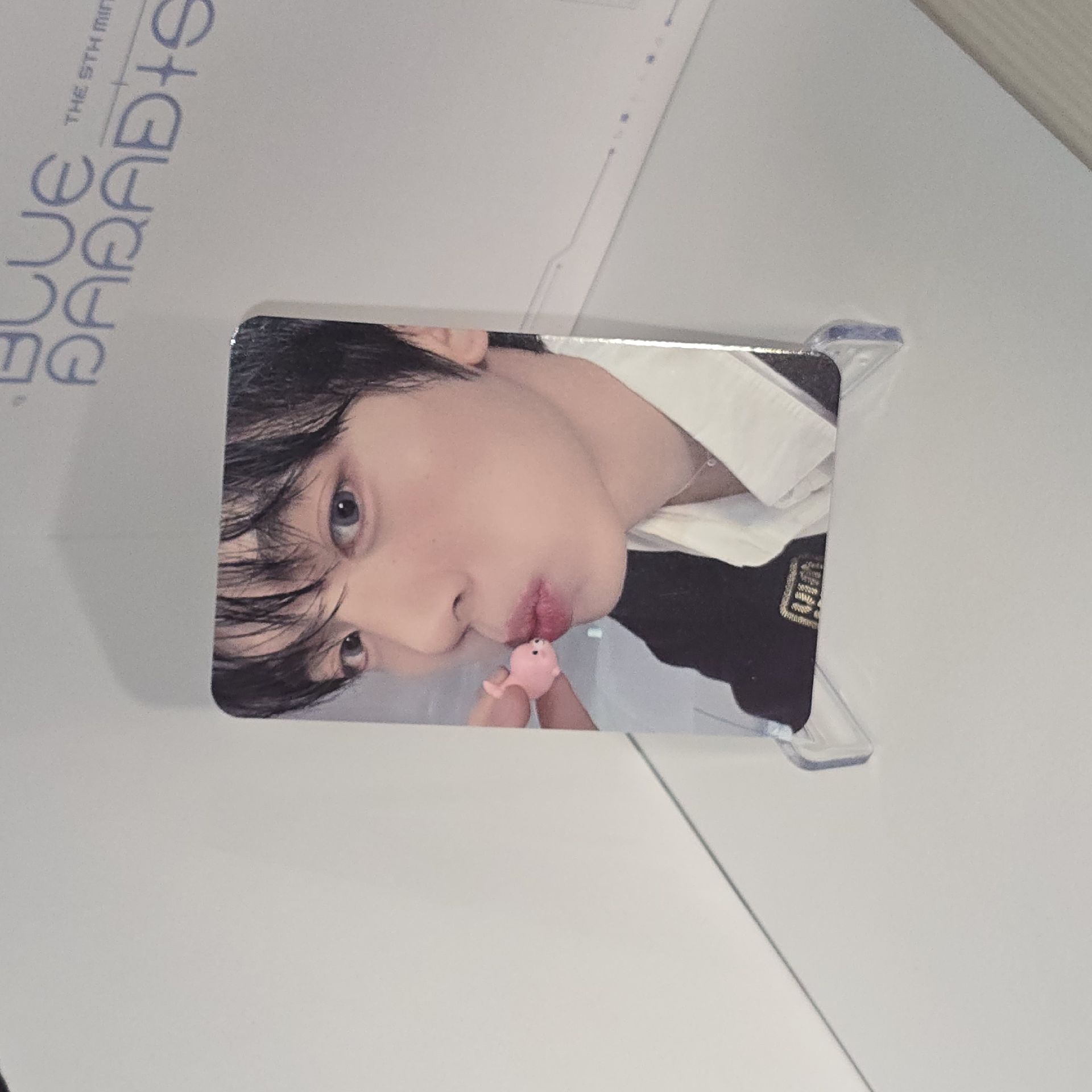 ZB1 韓維辰 迷三打歌卡