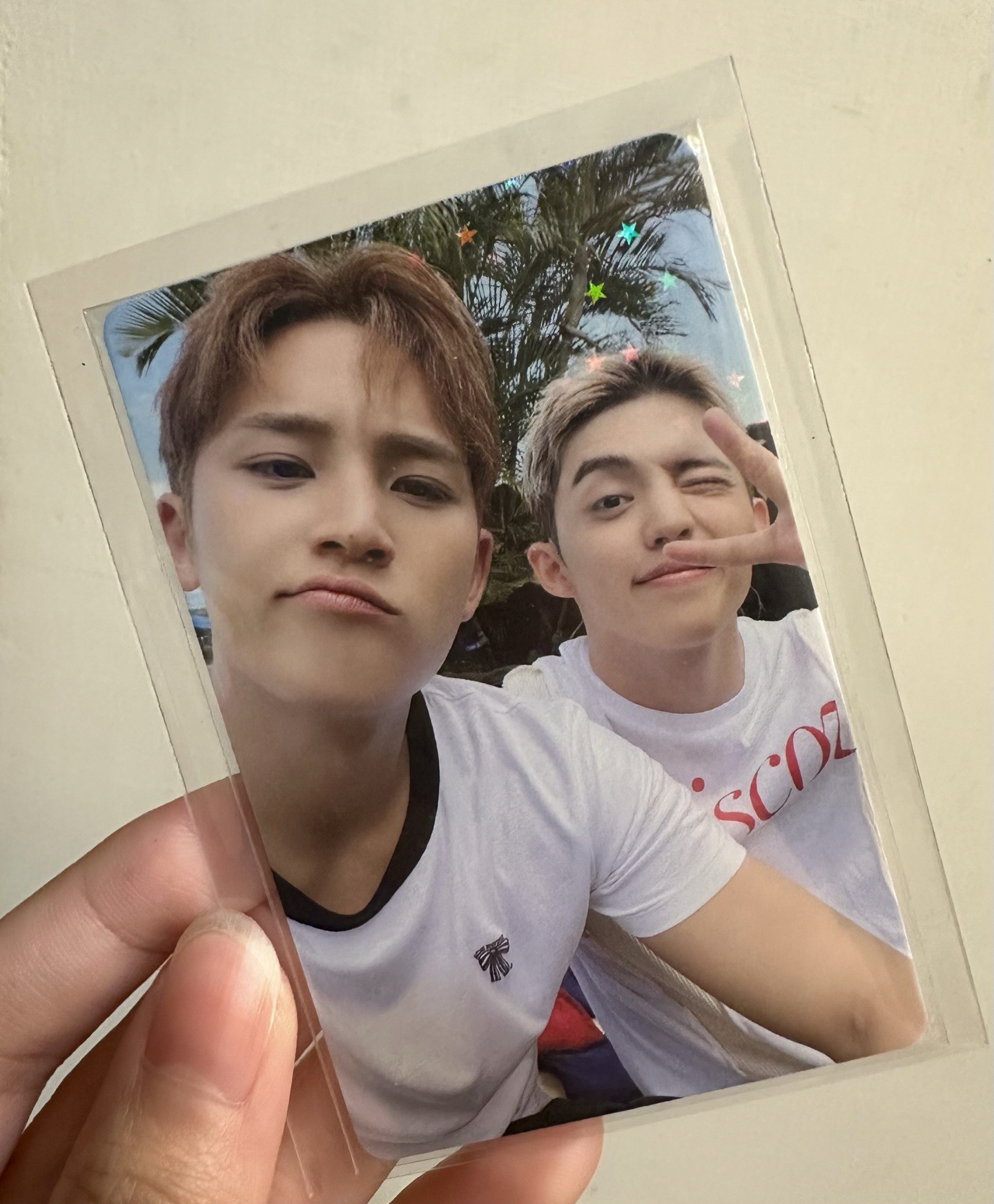 CxM哲奎日通wvs特典閃卡