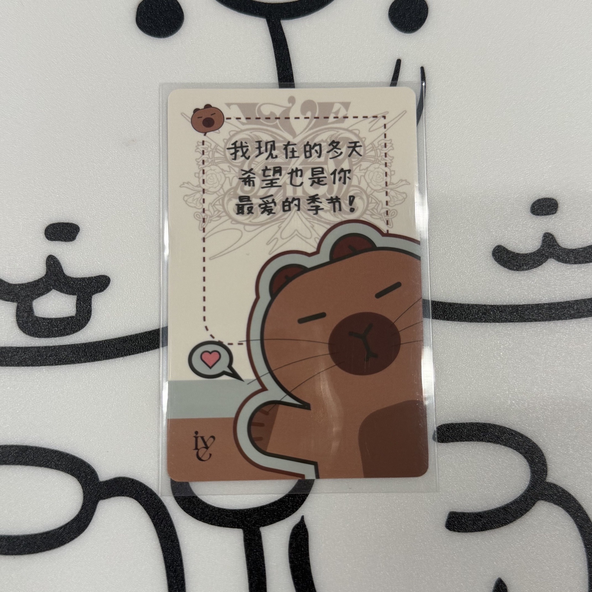 IVE yzy3.0 卡皮巴拉秋