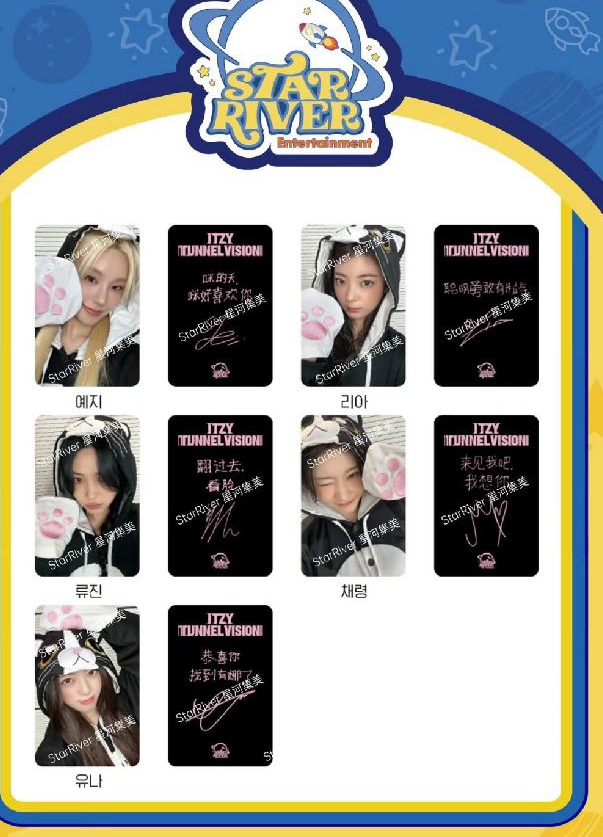 TNVS 中背小貓粒