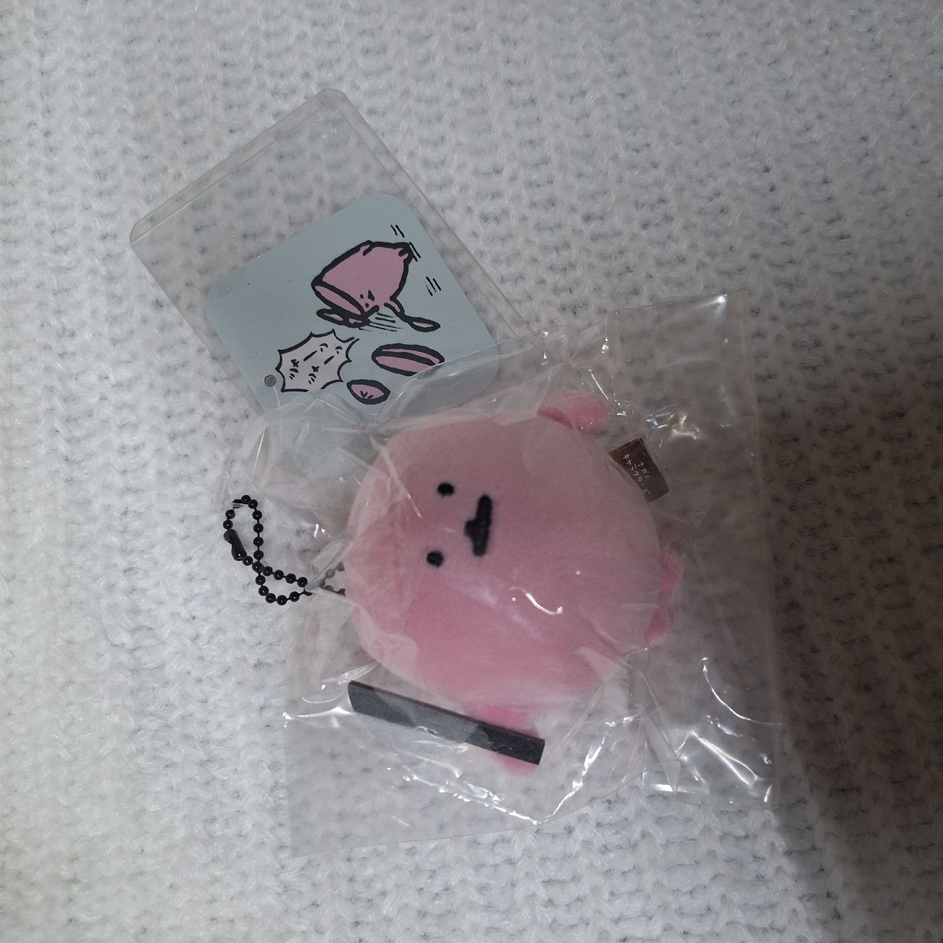 自嘲熊 拿刀魚腸