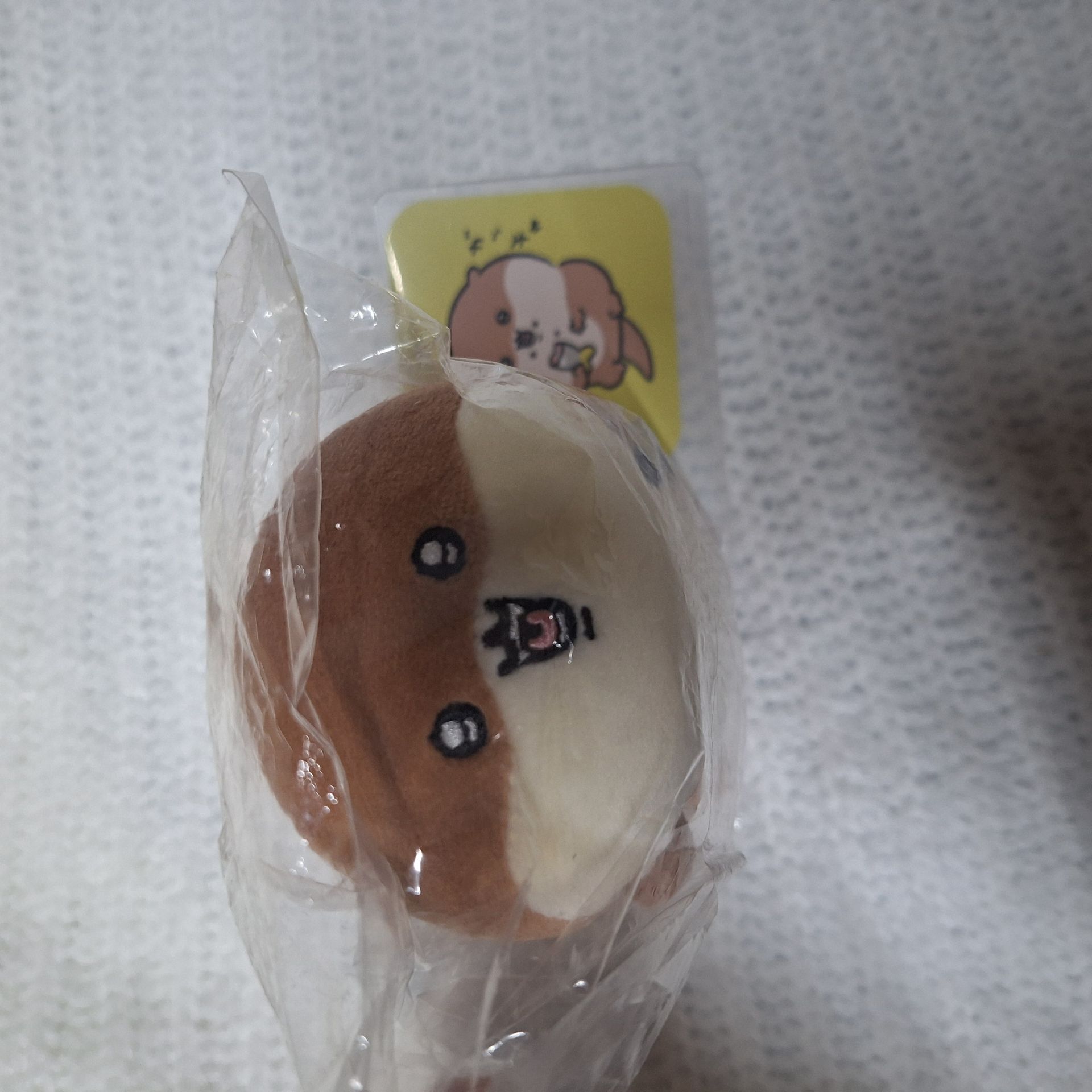 自嘲熊海生館-海獺