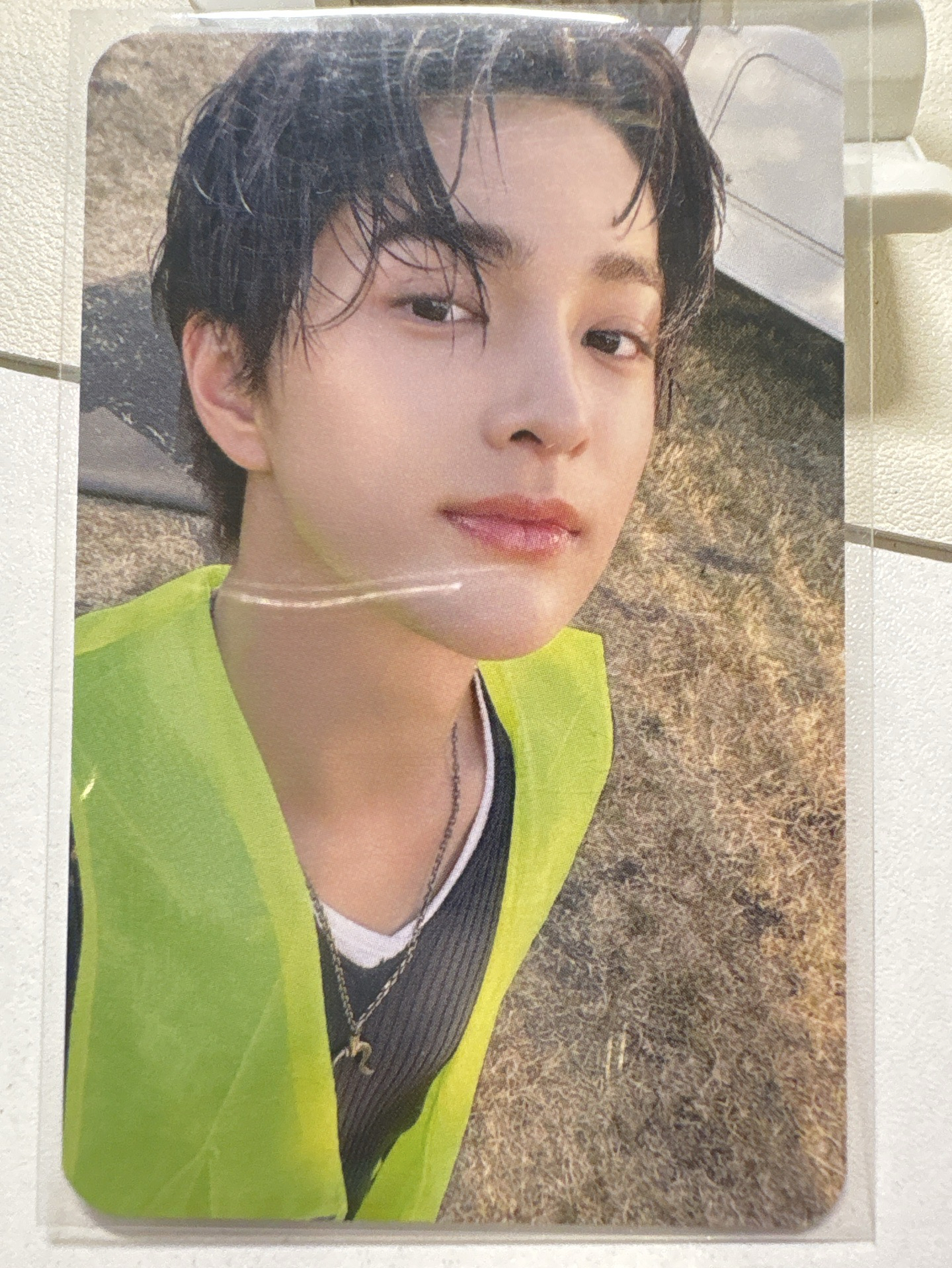 OY Cortis 安乾鎬 特典