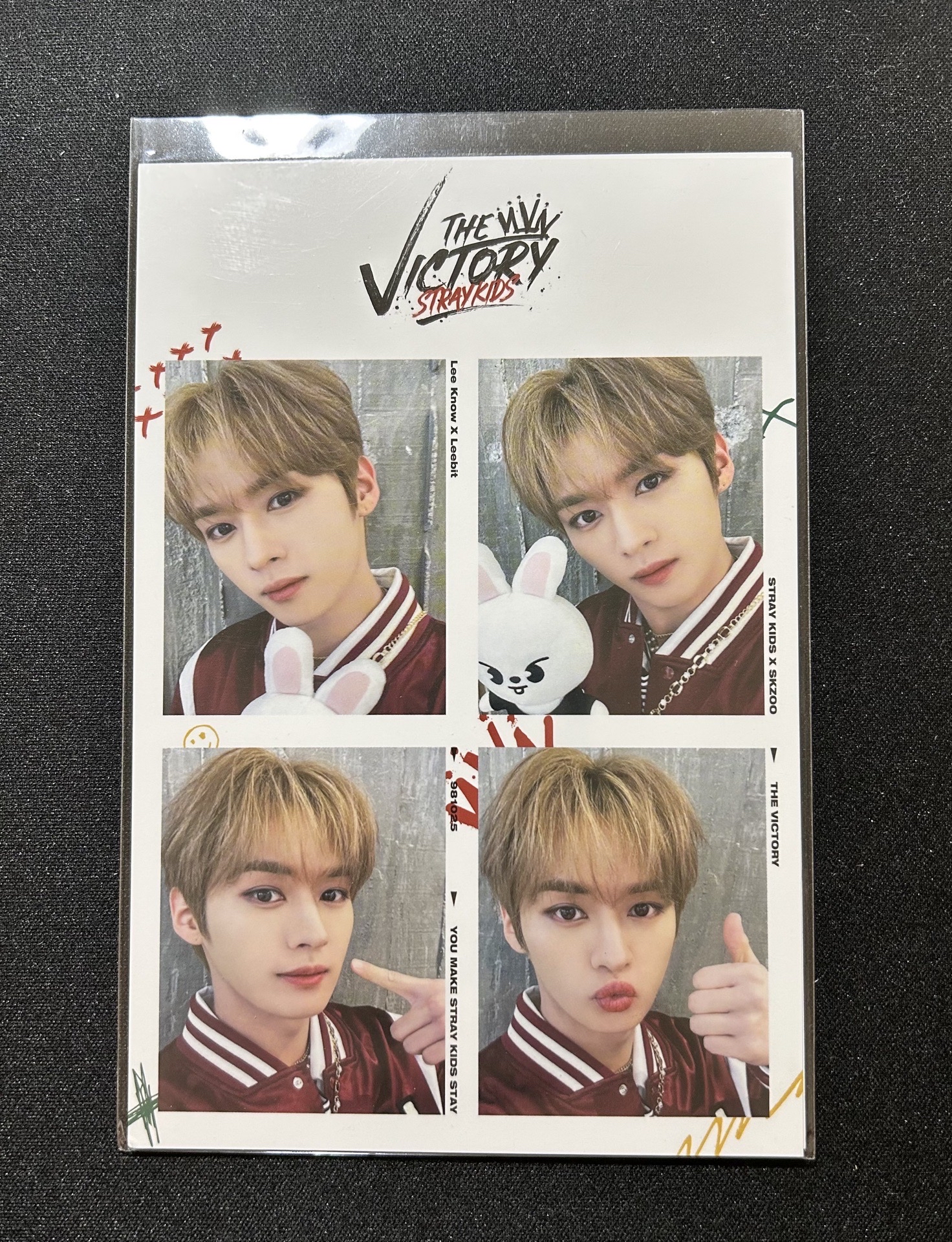 THE VICTORY 人生四格旻