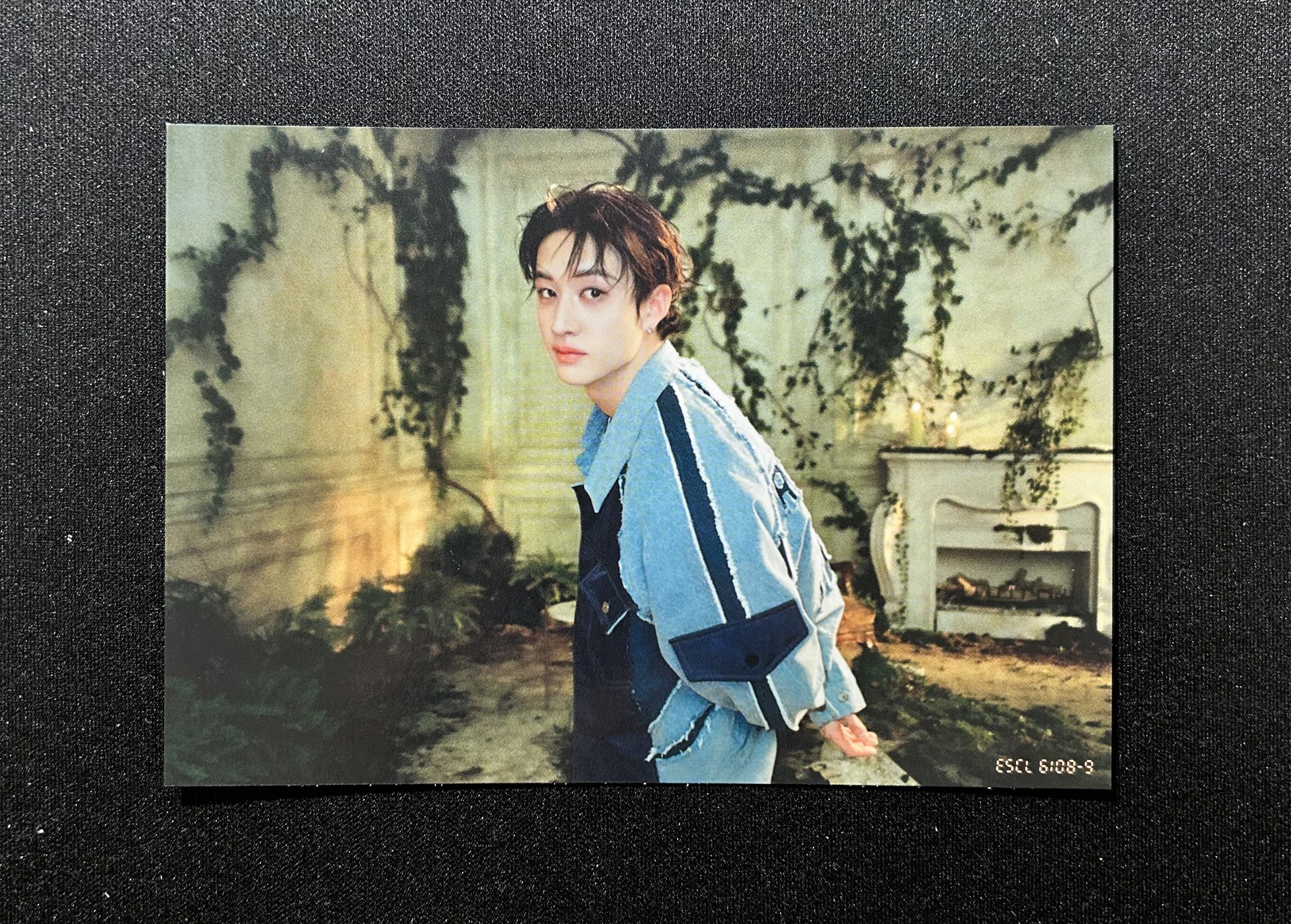 Hollow限定盤 明信片燦