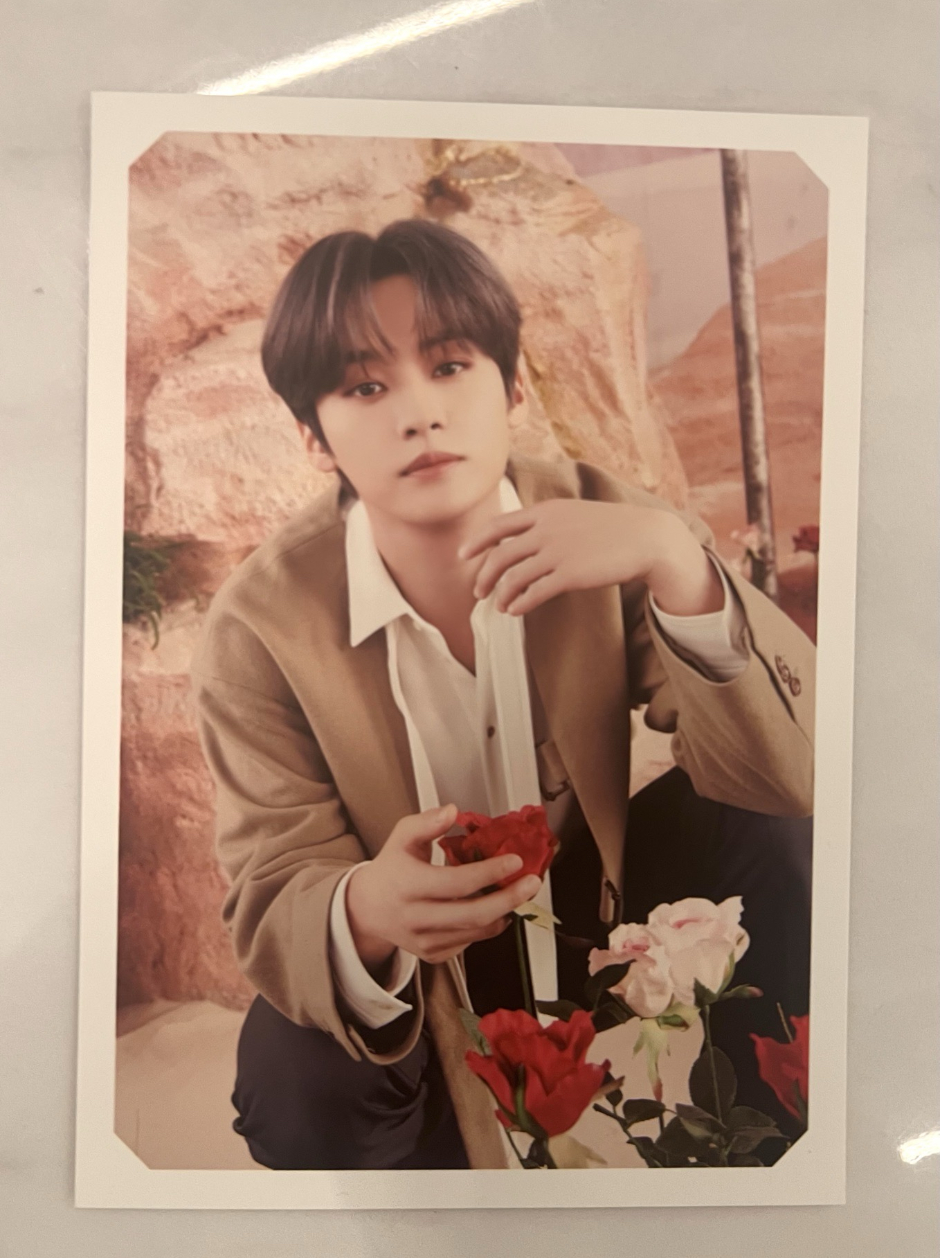 ㅣstray kidsㅣ糯ㄉ明信片🐰