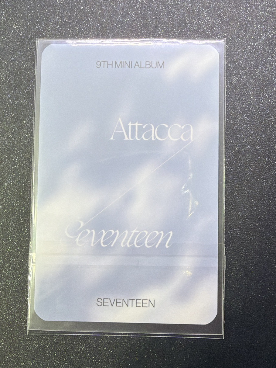 迷九 YZY A 捧花秀