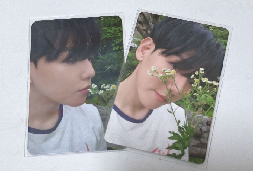 伯賢 | bolo4 簽售卡/bolo4專輯卡