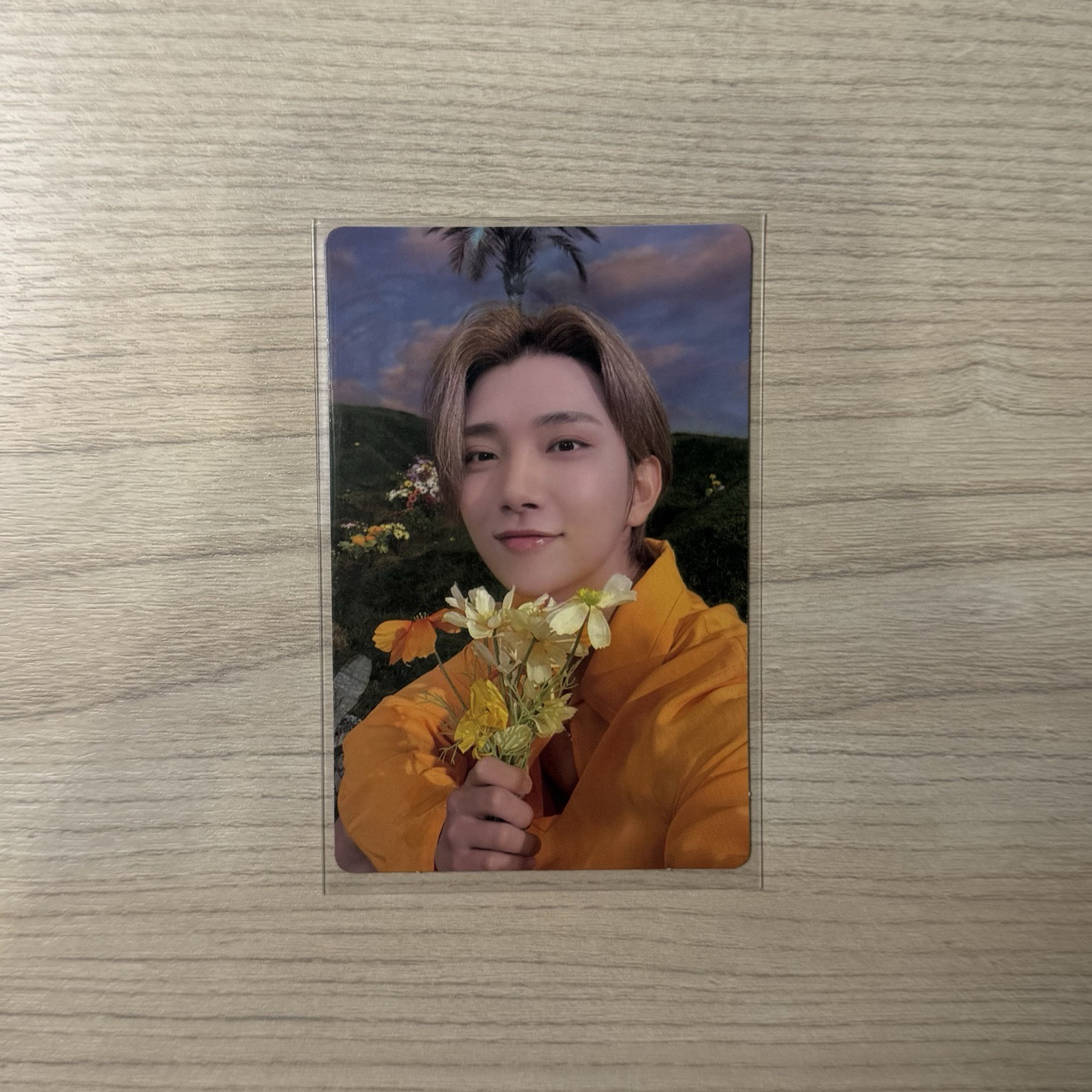 洪知秀 正規四後續 target 