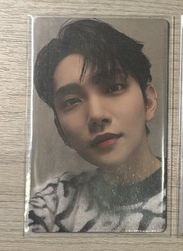 洪知秀 愛之力wvs jp 