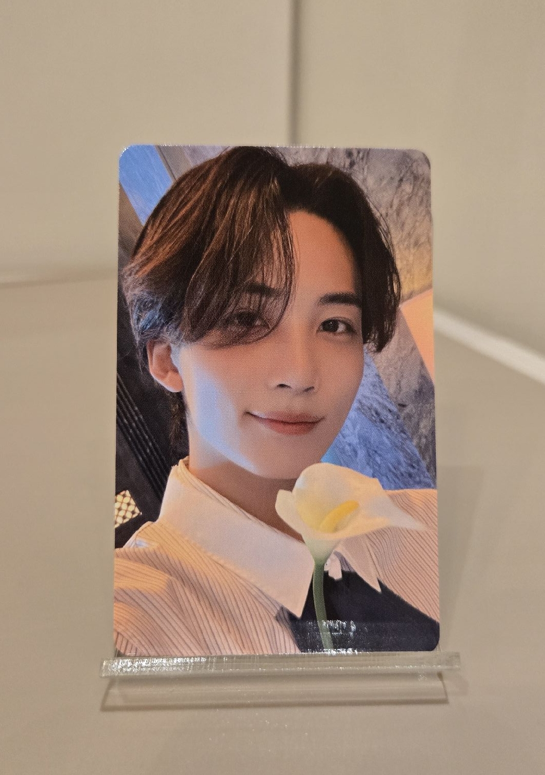 漢👼🏻DREAM TOKYO DOME 場限 拿花淨 直出