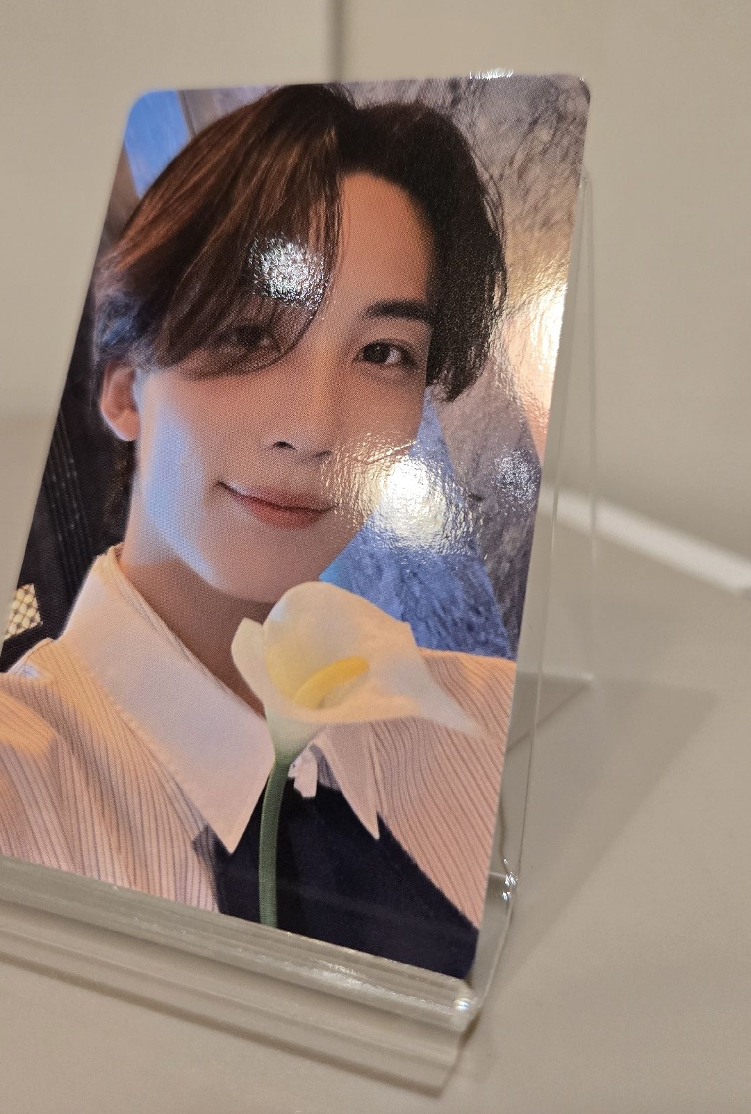 漢👼🏻DREAM TOKYO DOME 場限