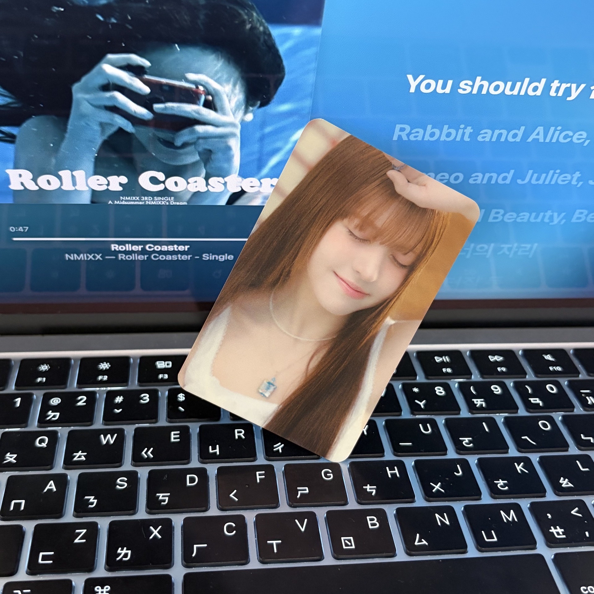 莉🐨｜太陽好大