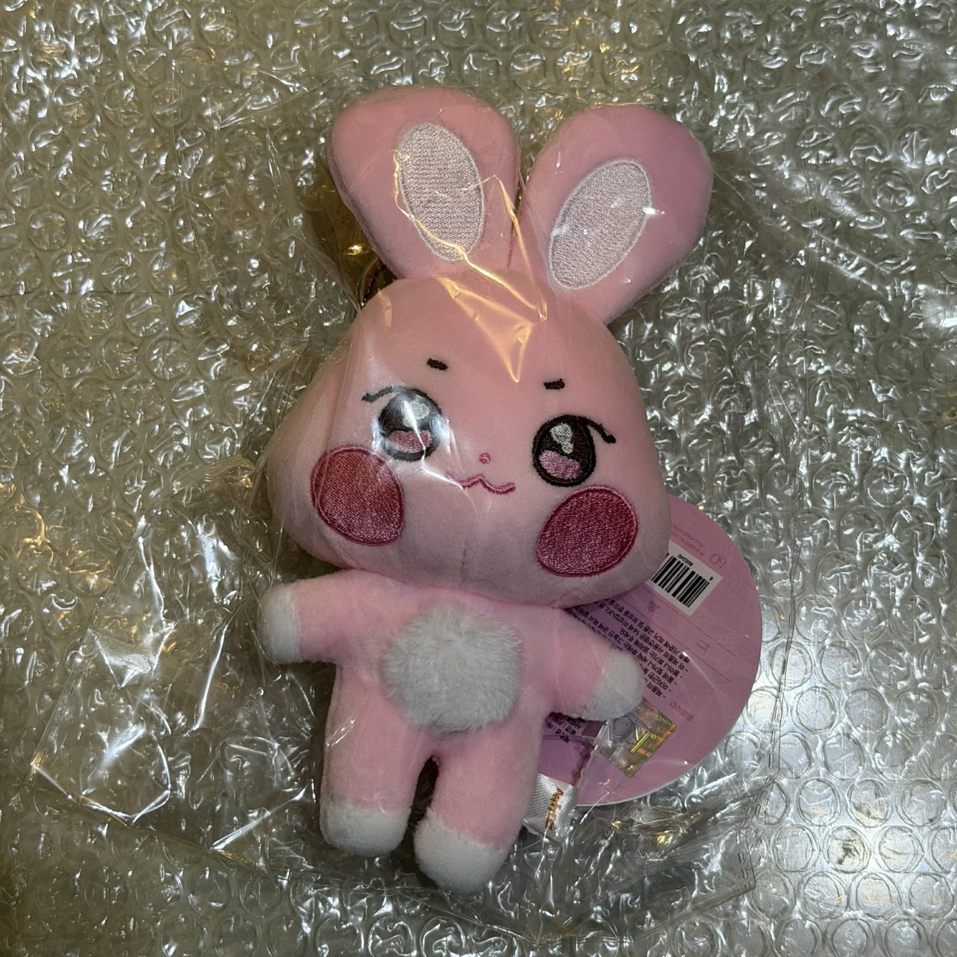 ANITEEZ aniteez ddeongbyeoli 떵별이原皮 原皮星 星和