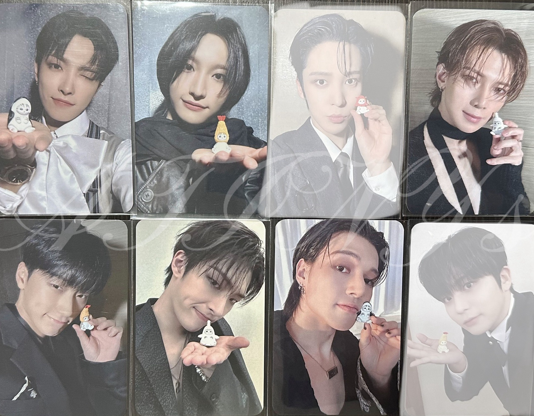 貓福珊迪（6張，少潤鍾）