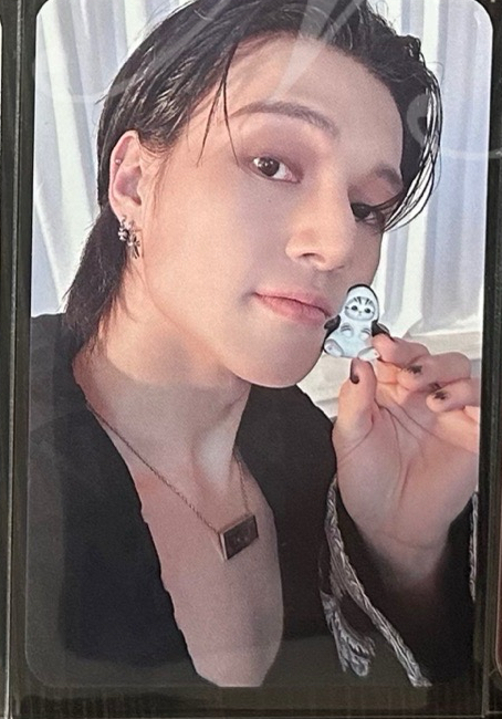 貓福珊迪（榮）