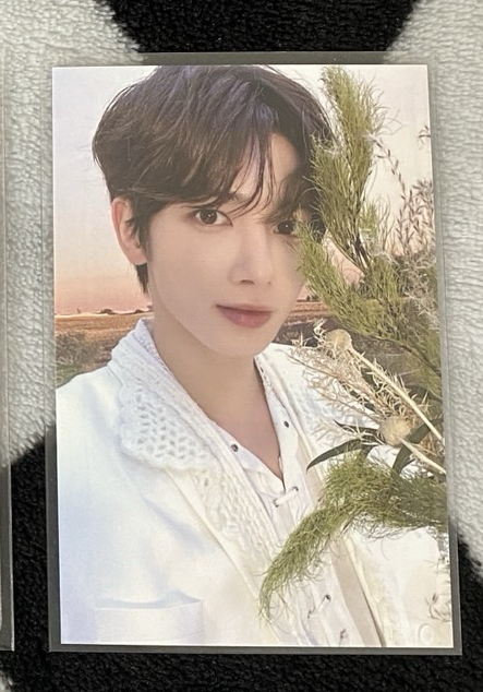 ACT:PROMISE MOA粽 太顯