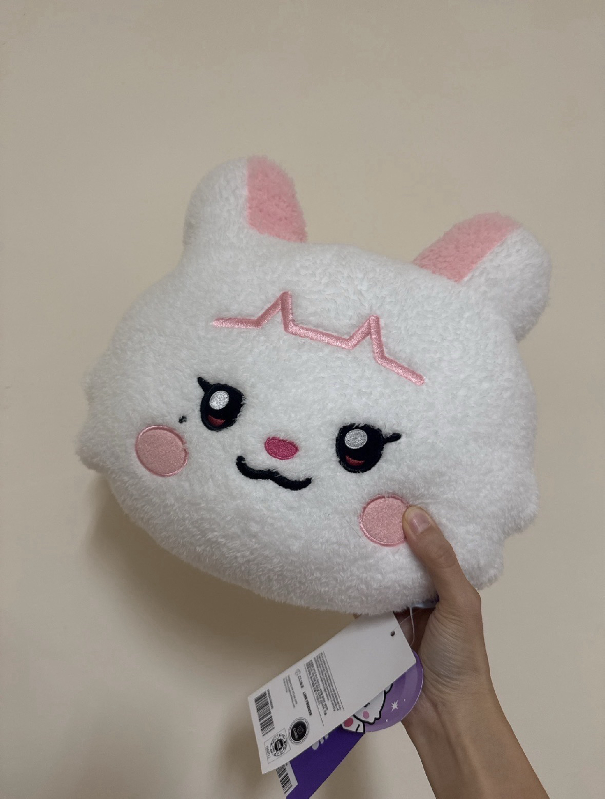 MINNIE抱枕（已拆