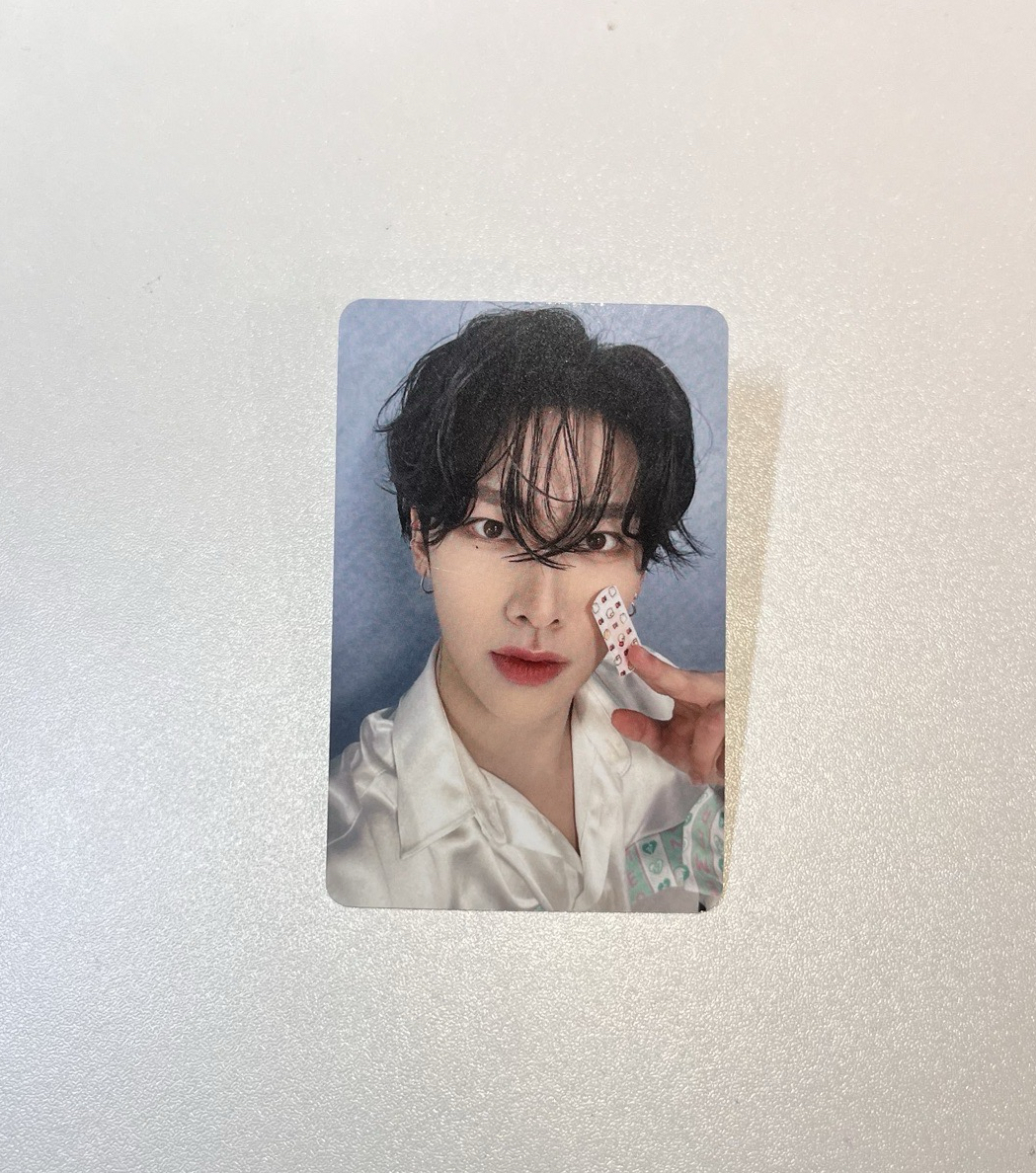 迷五 am 特典卡 動物創可貼ver.