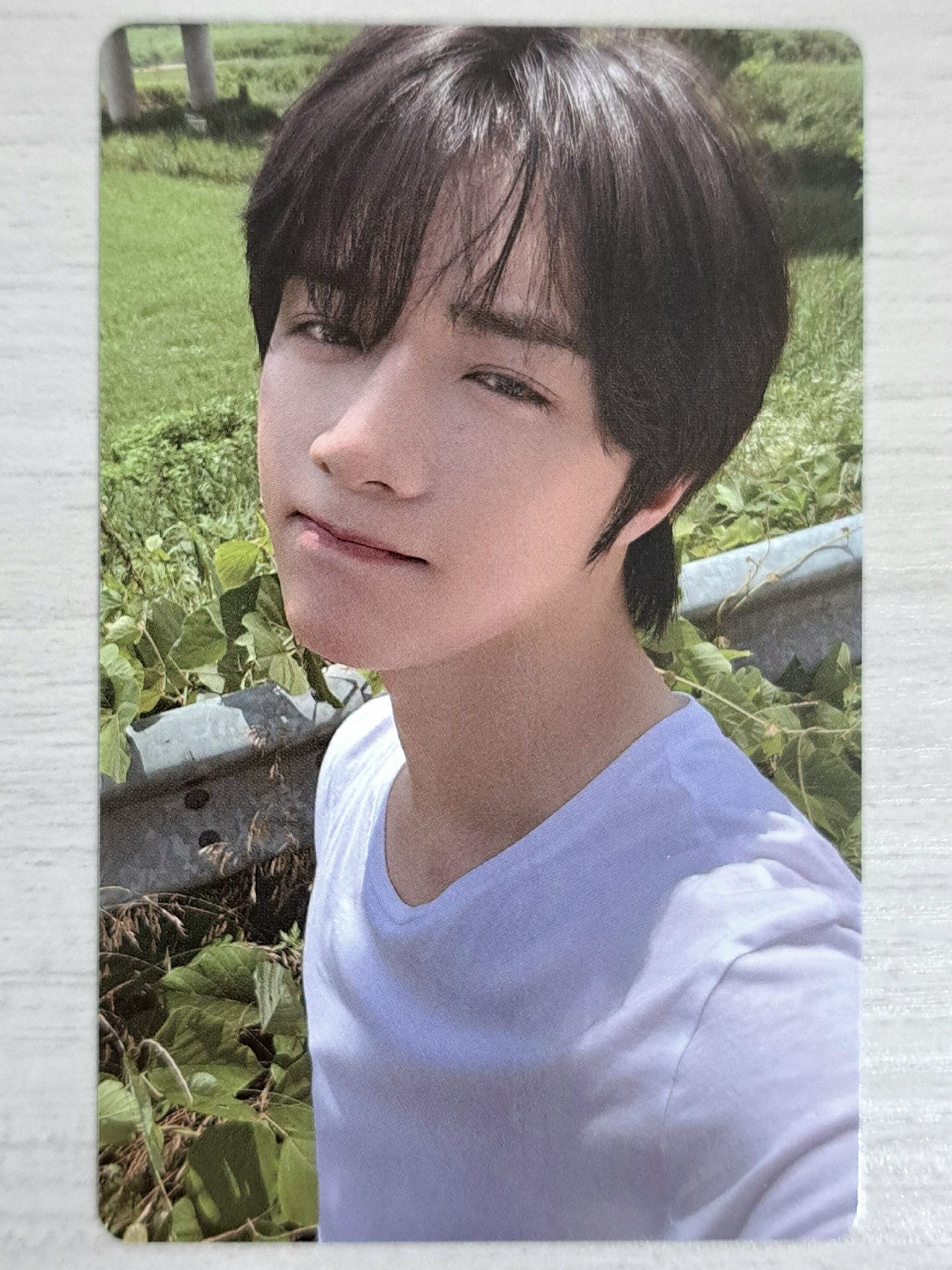 正四 wvs SC pb 特典卡 圭