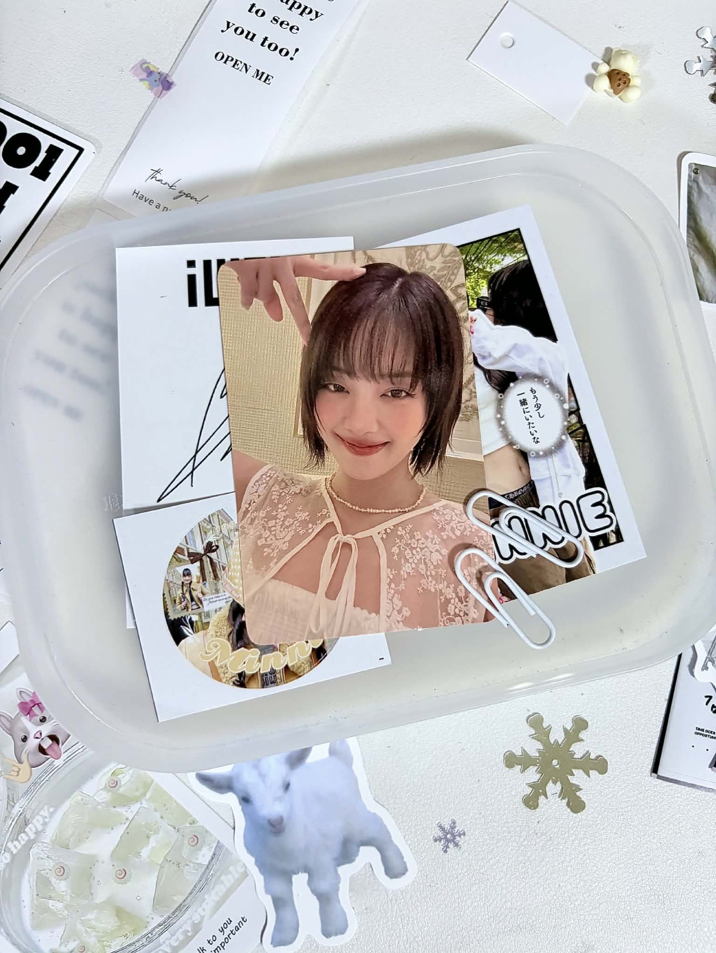 泡泡摩奇妮💞（需綁）