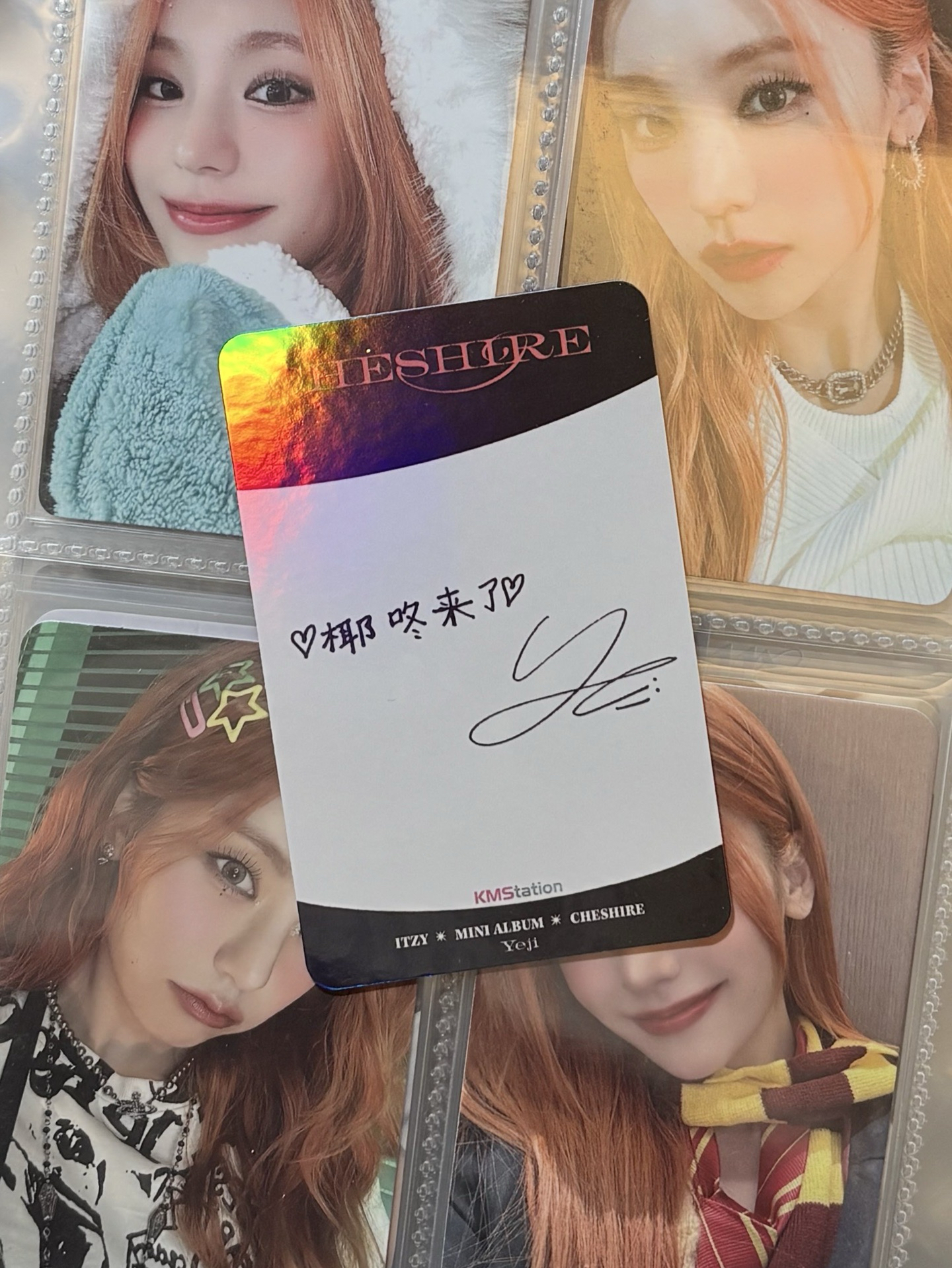 柴郡貓 KMS預售 中背