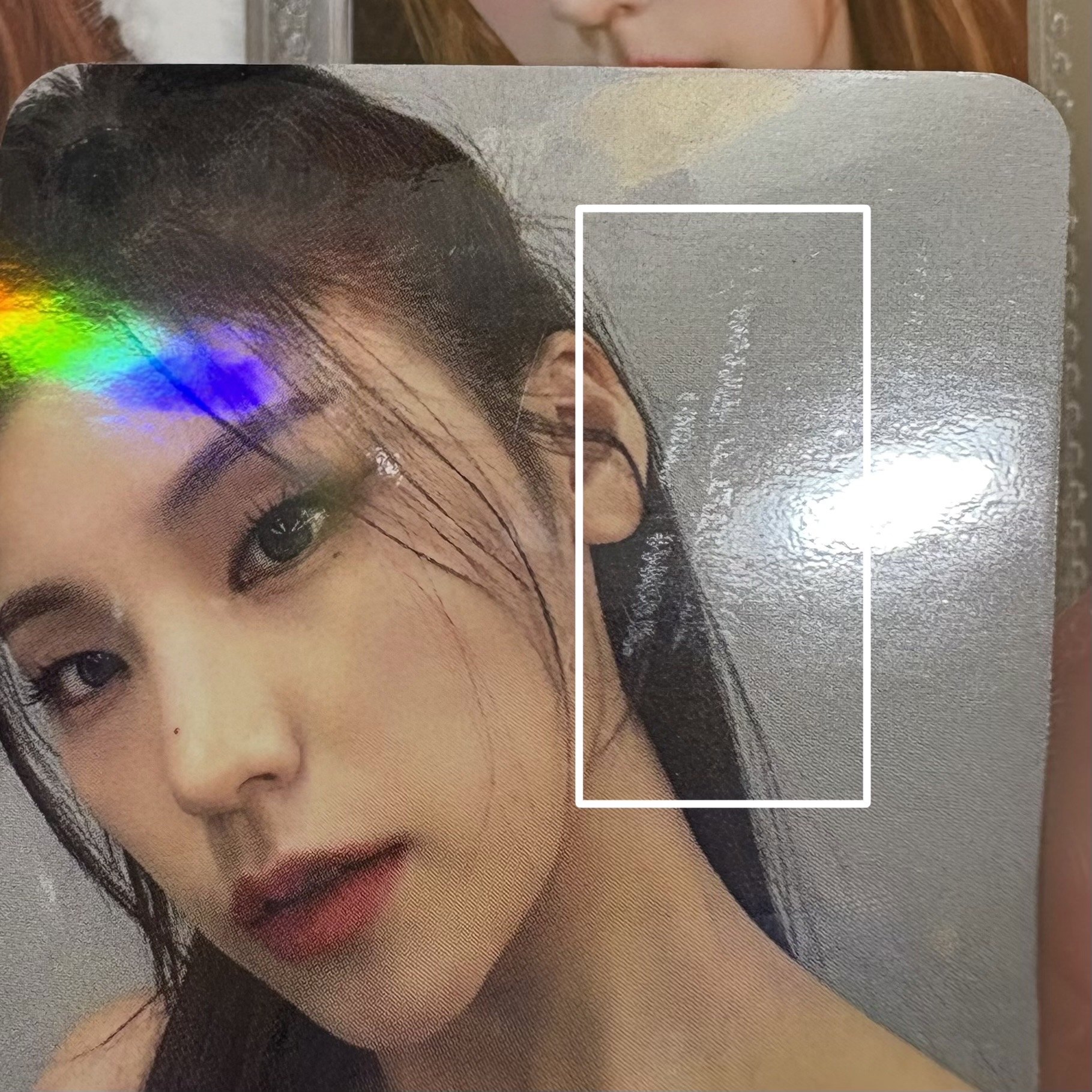 柴郡貓 KMS預售 中背