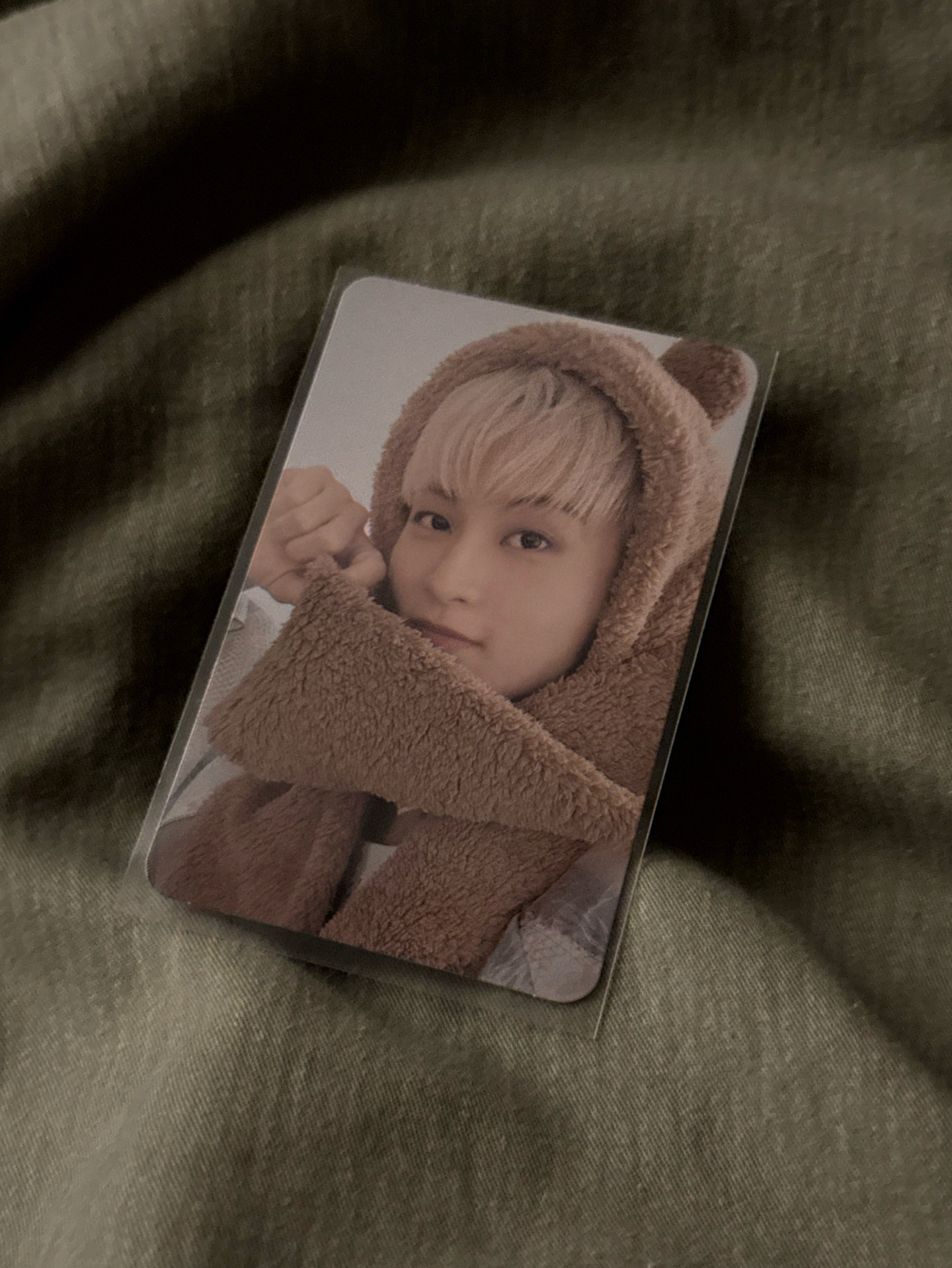 我家獅子怎麼變小熊了？？？