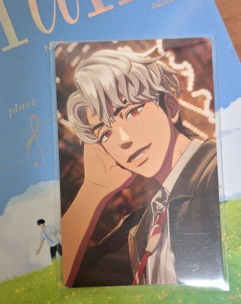 銀虎 爛美國 hide and seek日專 塔店特典卡 