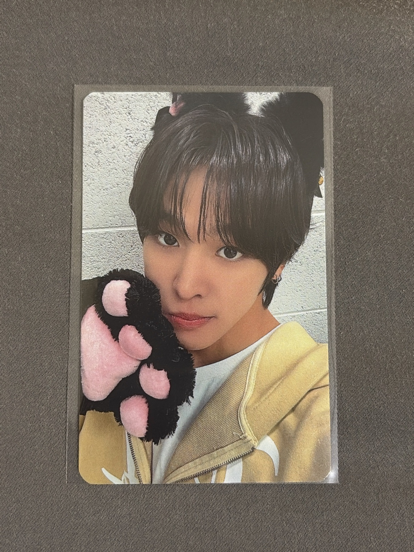 color ia 幸運卡RIKU