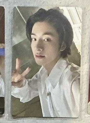 正二 wvs專 倫卡